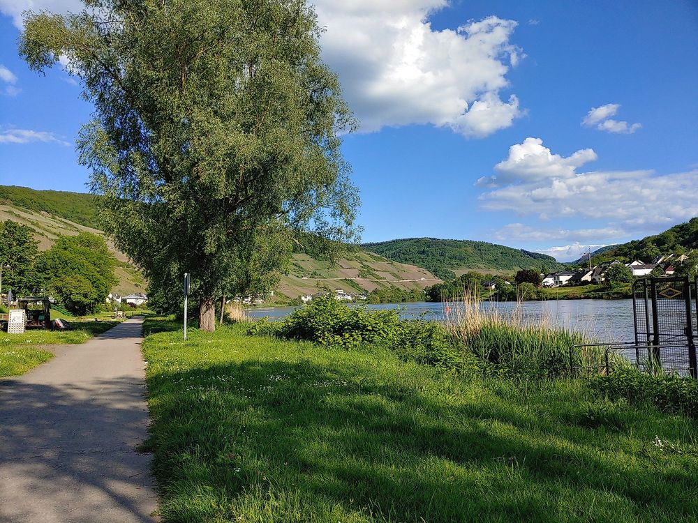 Zeller Land Mountainbike Tour über St