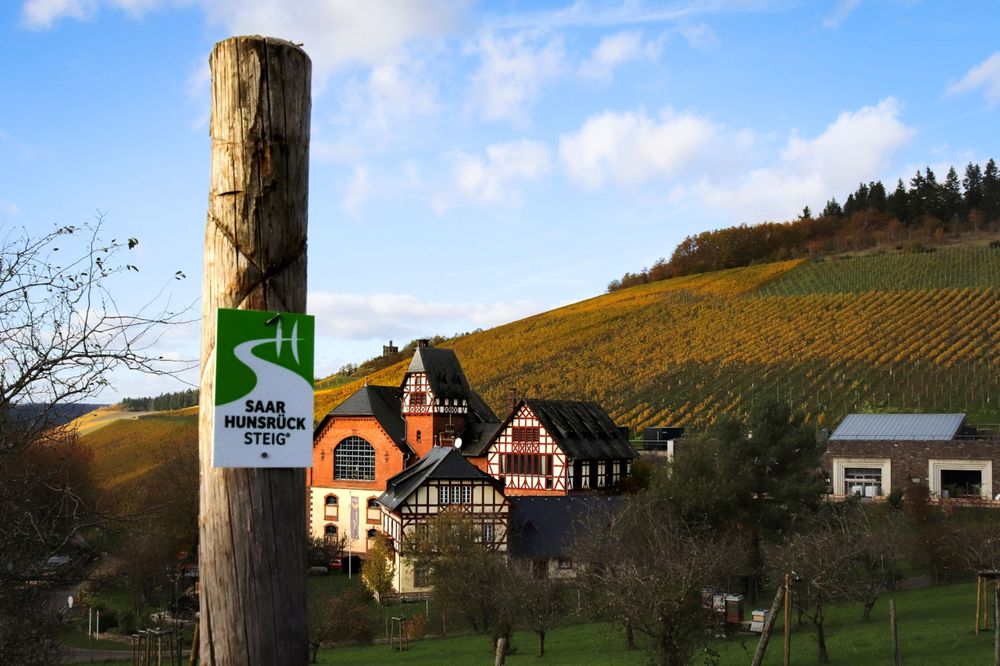 Saar Hunsrück Steig   27