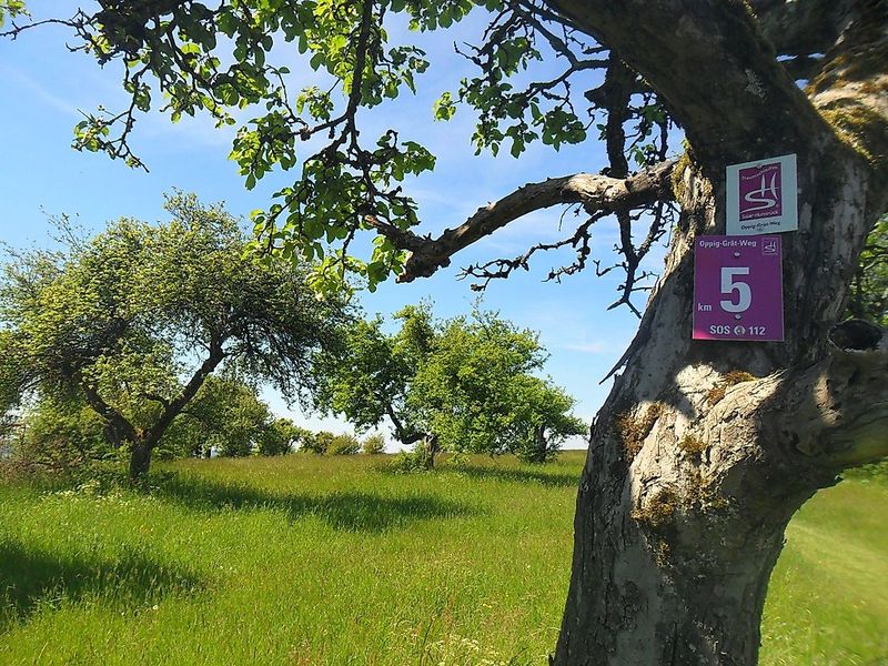 Traumschleife Oppig Grät Weg dyr01t