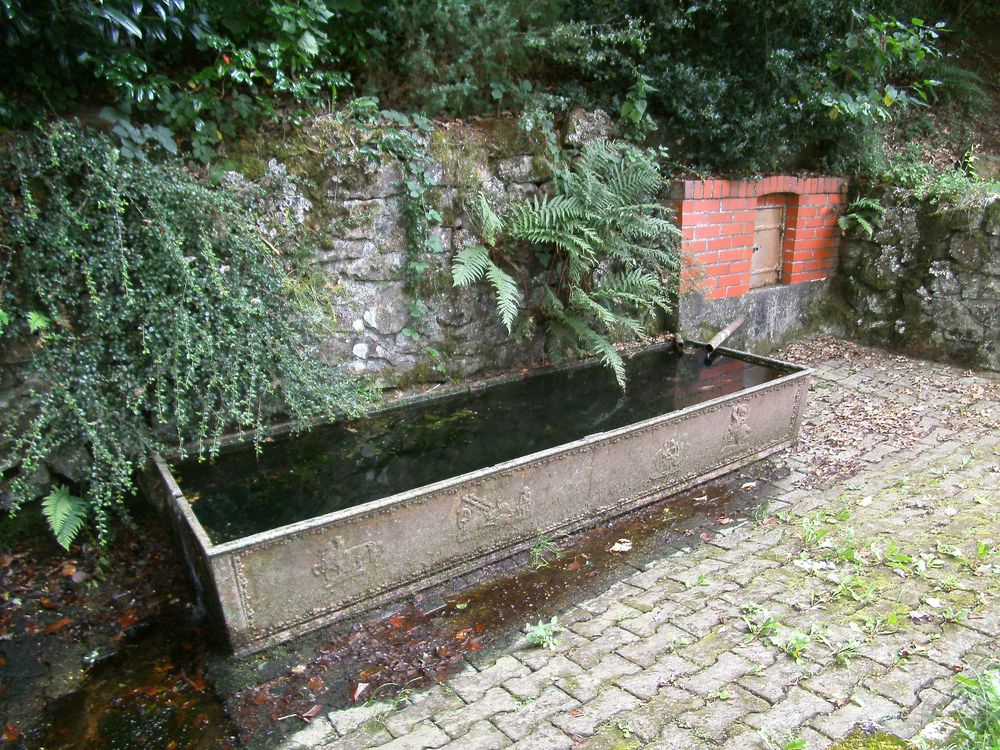 Von der Brombacher Höhe ins Nahetal (kurze Strecke) dwjqjx