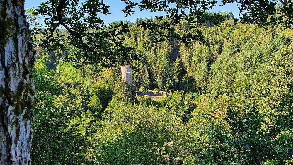 Aussichtspunkt Burgblick f94356