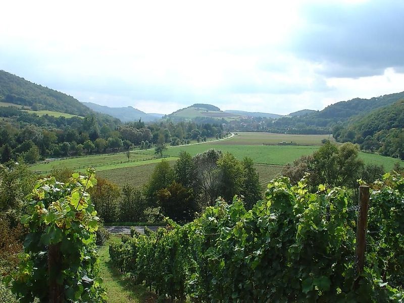 Weinwanderweg Rhein Nahe f6rysz