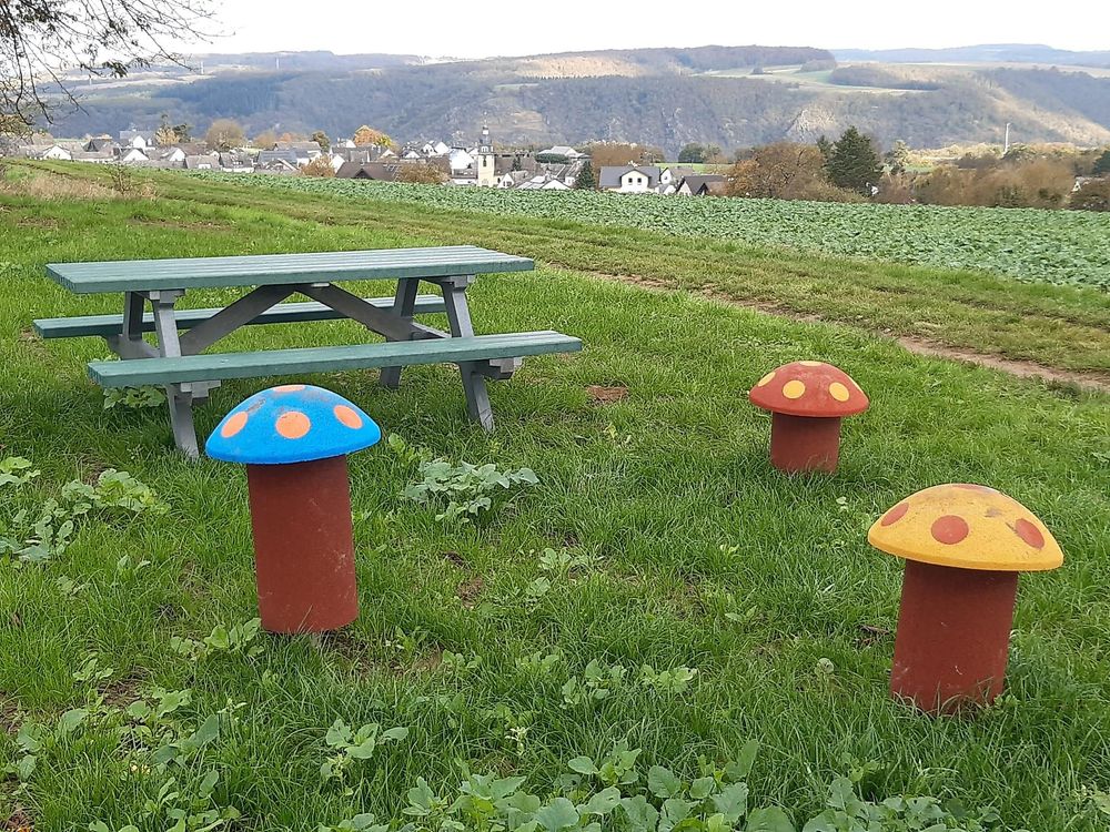 Traumschleifchen Werlauer Pilz f77t3e
