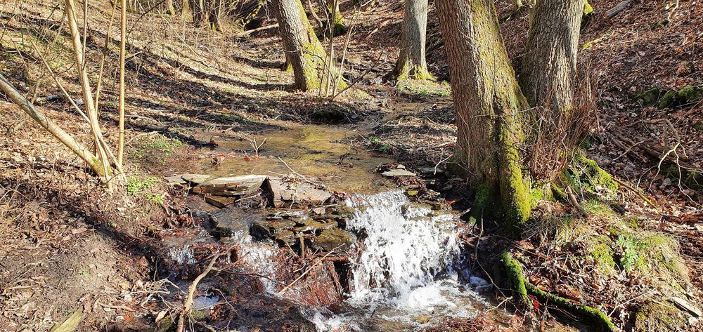 Murscher Bach Falls f788ku