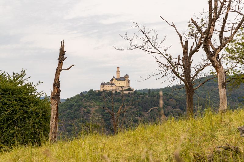touren/welterbesteig-oberes-xmittelrheintal-etappe-7-boppard-rhens-8db4