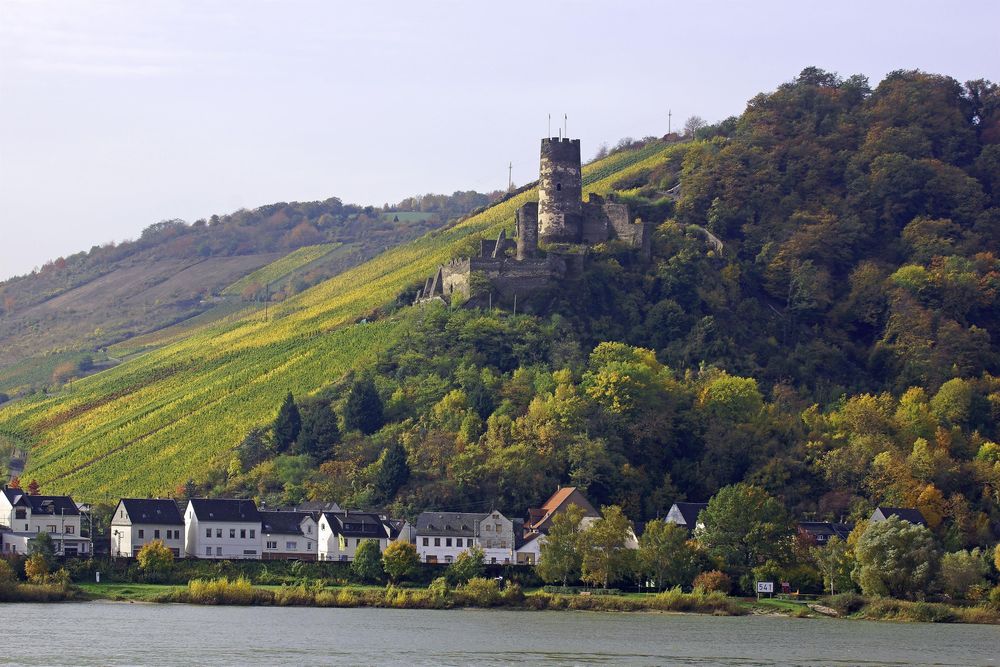 Ruine Fürstenberg drrrfn