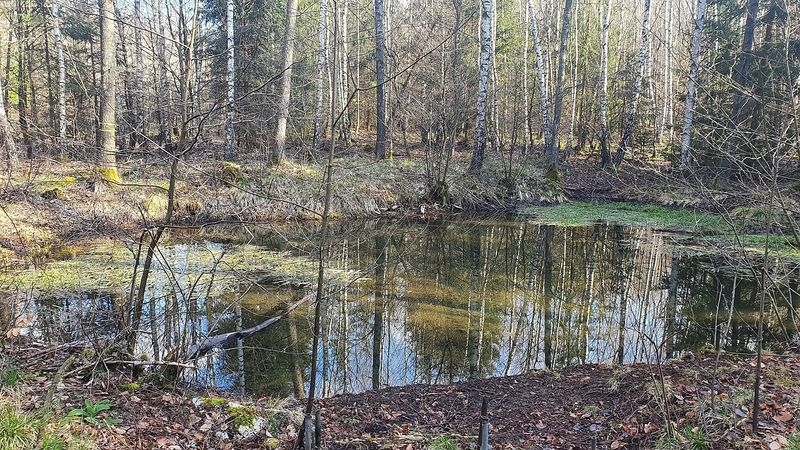 Naturschleife Oberes Simmerbachtal f4p7uf