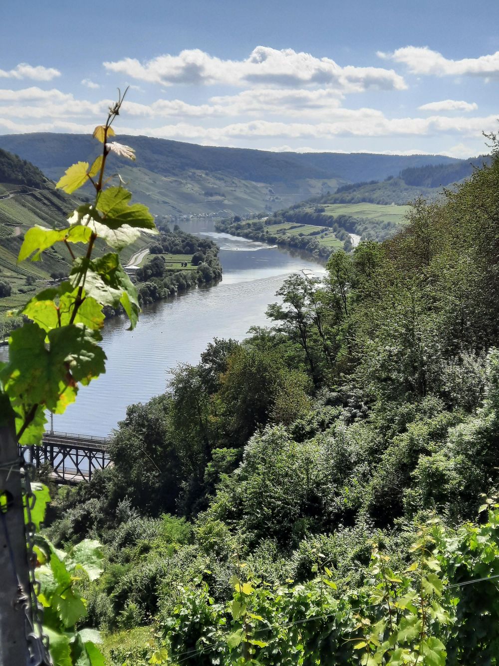 "Marienburg" Rundwanderweg im Zeller Land f2bftt