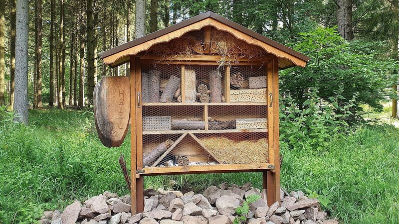 Naturschutzplatz Gärtel f1yp9l