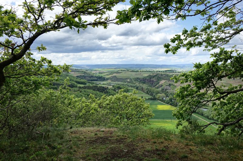 Weinwanderweg Rhein Nahe   Etappe 4: Niederhausen   Bad Kreuznach f27uns