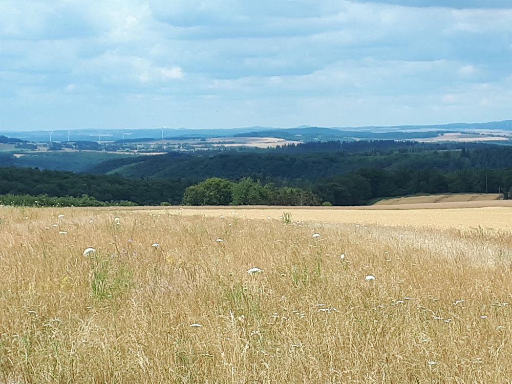 Ruhebank mit Weitblick am Wanderweg Schessels Beersche dp0lxo