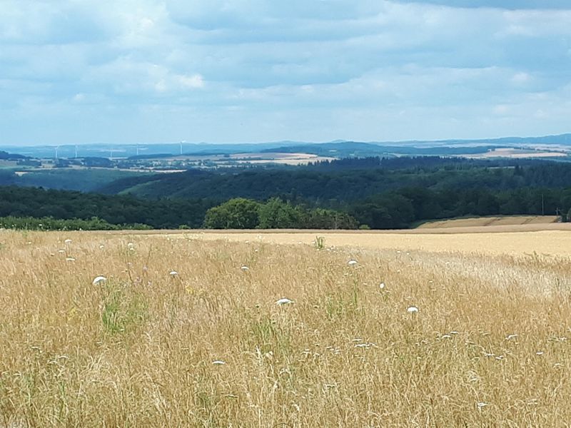 pois/ruhebank-xmit-weitblick-am-wanderweg-xschessels-beersche-3aaa