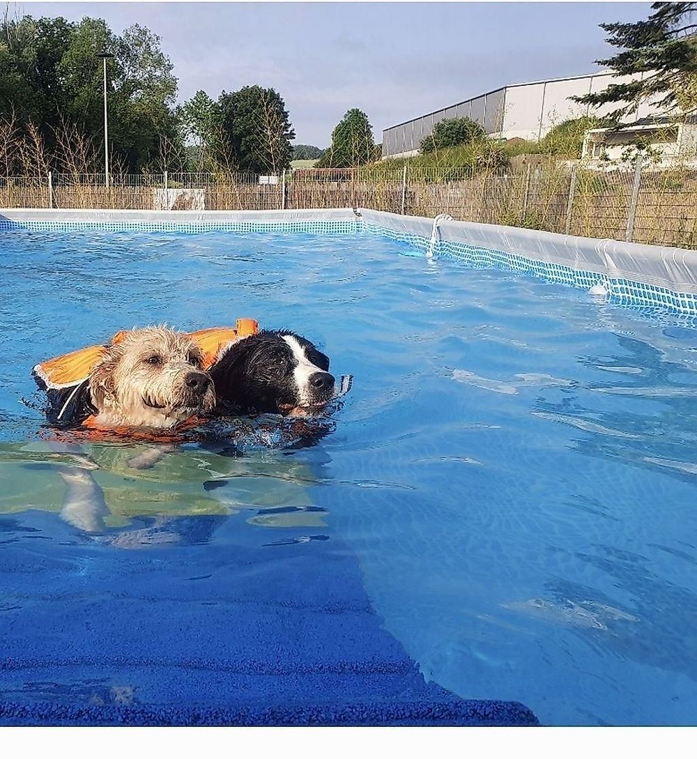 Caniplace   Hundefreizeit und Gesundheitspark do1ub3