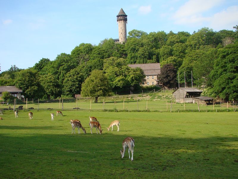 Nationalpark Radquerung 1 dmilkj