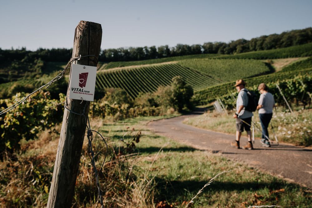 Vitaltour "Wald, Wein & Horizonte" dkydxv