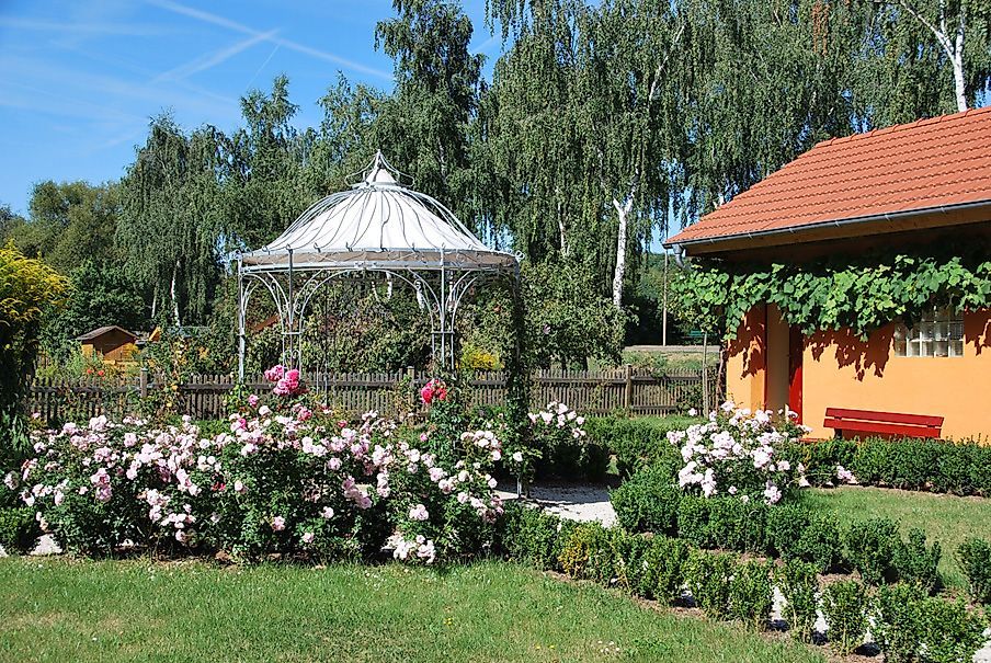 Weinsheim Rundweg "Weinwanderweg" dm40ah