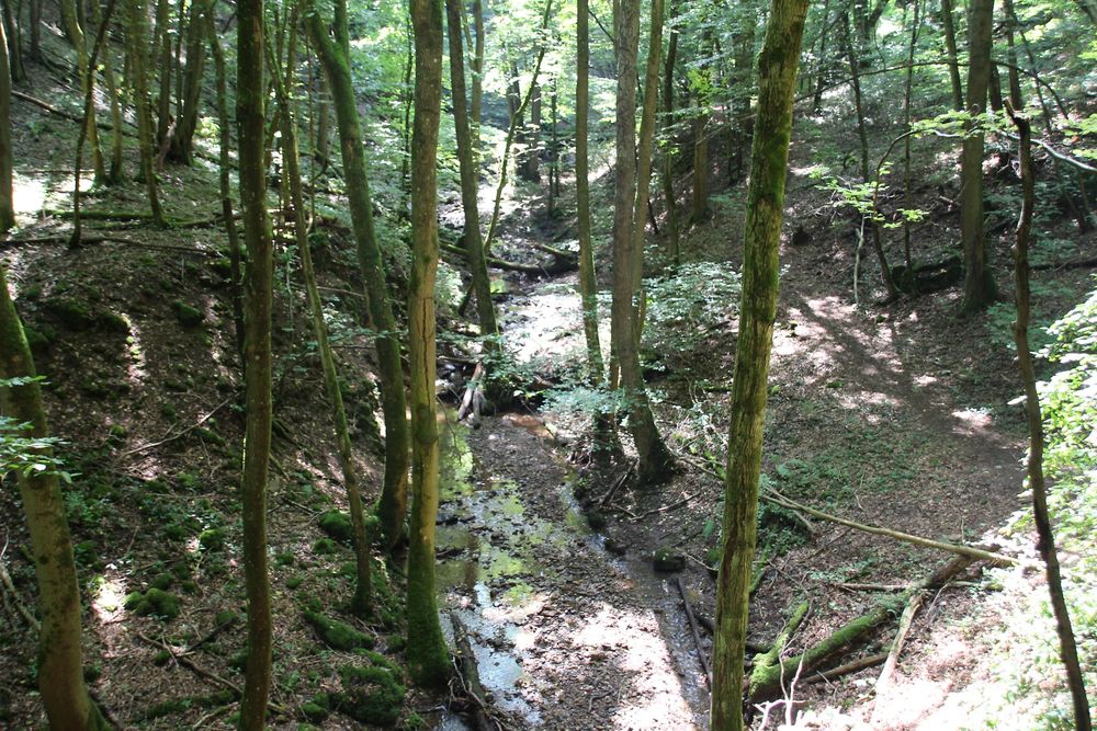 Romantisches Trübenbachtal djyduk