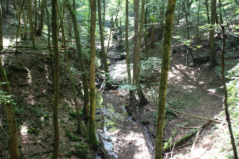 pois/romantisches-xtruebenbachtal-492d