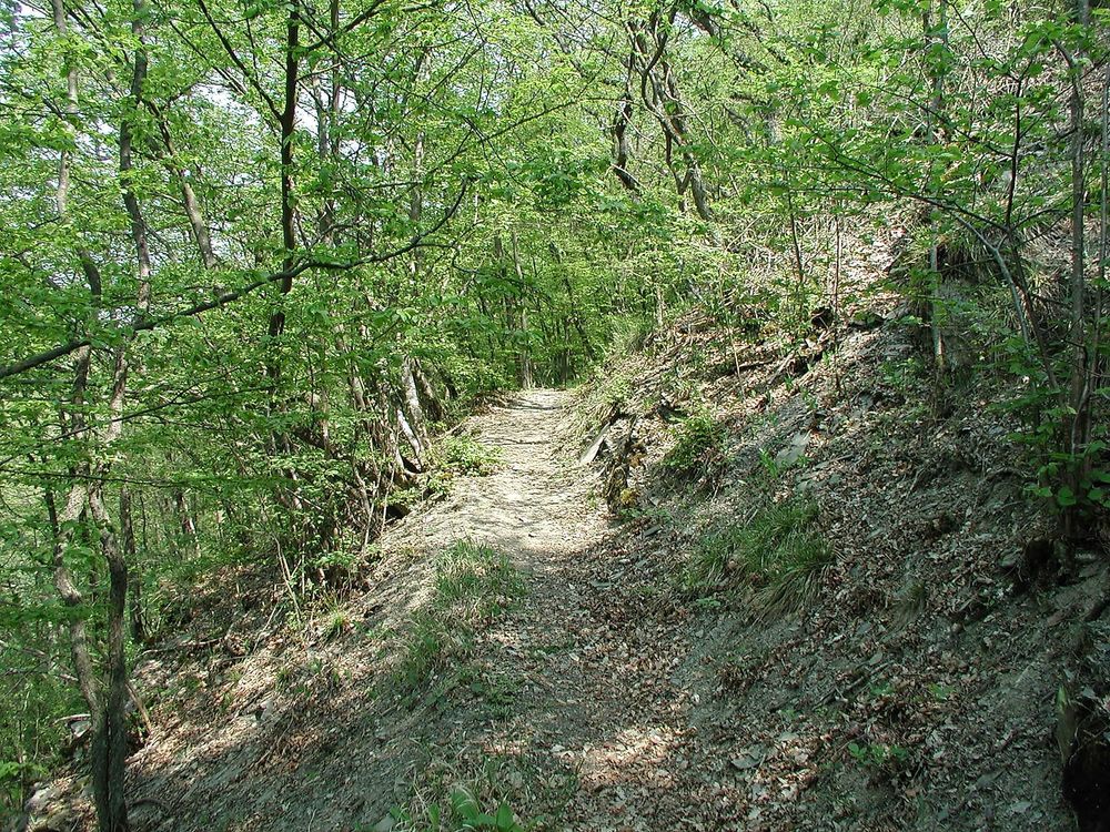 Schiefergrubenweg Lütz djngxd