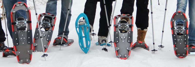 Schneeschuhwanderungen djjlhs