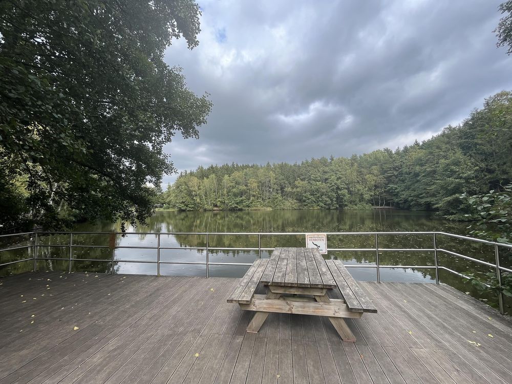 Argenthaler Waldsee dgifng