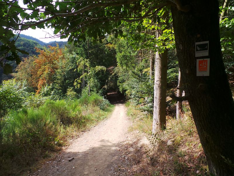 Geierlayschleife degsbn