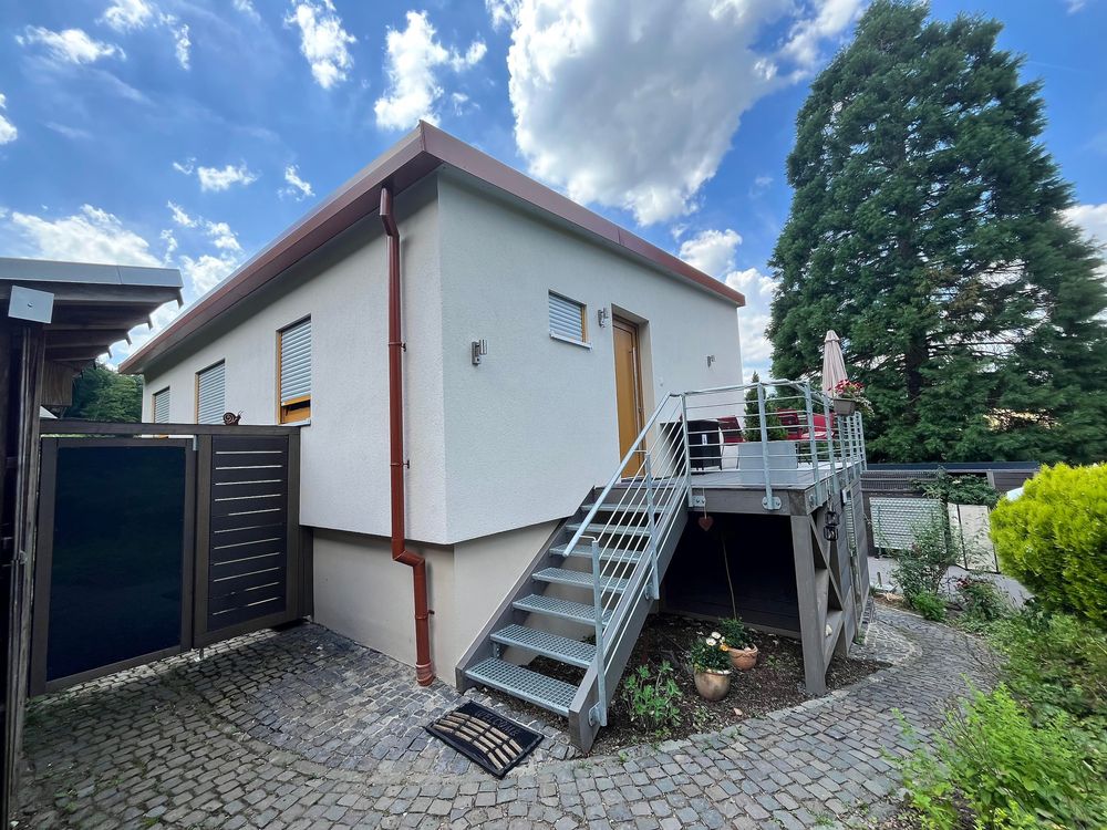 Ausblick am Mammutbaum df46rw