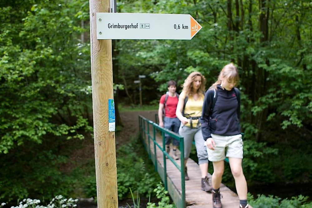 Saar Hunsrück Steig   07