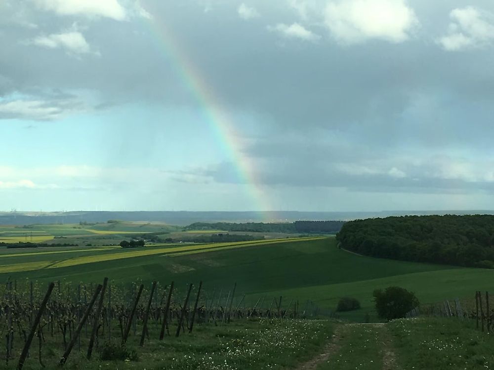 Ferienwohnung zum Buchfeld de1i86