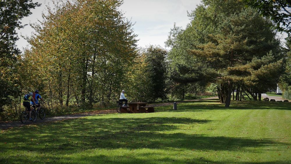 Picknickbank am Schinderhannesradweg in Pfalzfeld dalsmv