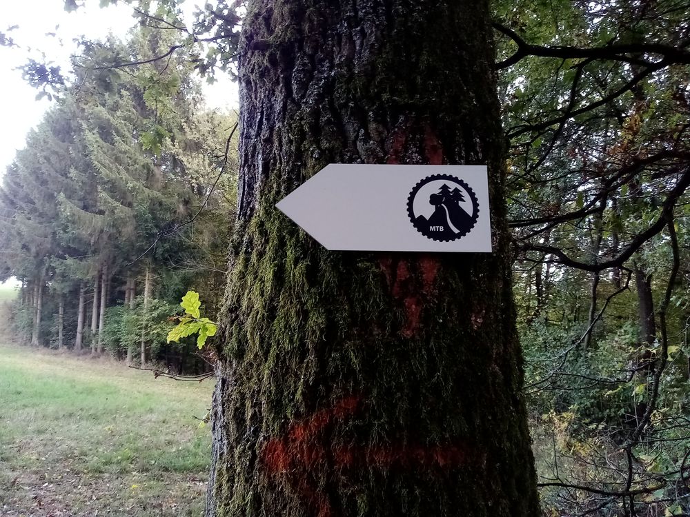 RadLust MTB Trail WaldMeister db3vb4