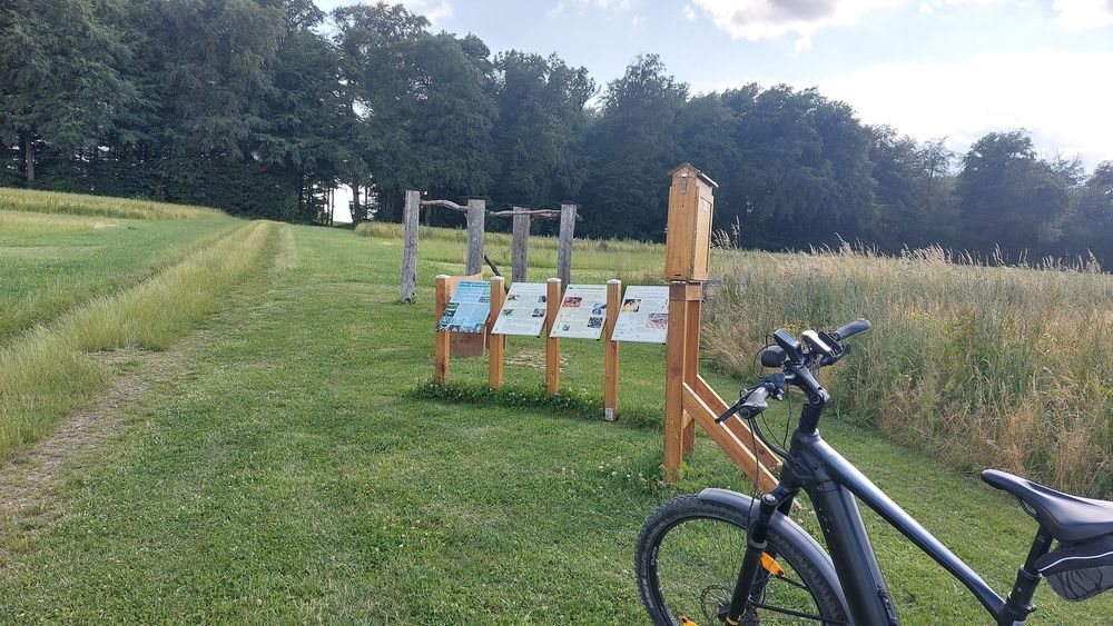 Pfalzfeld   Hängeseilbrücke Geierlay da6r3a