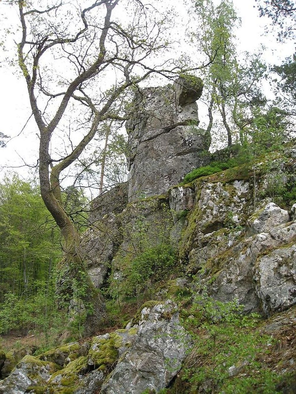 Traumschleife Wind, Wasser & Wacken cyn5sv