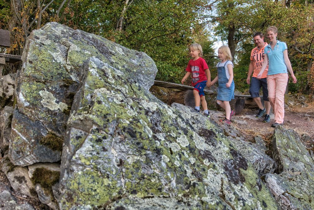 Wildkatzentour Neupfalz bei Stromberg e91pj2