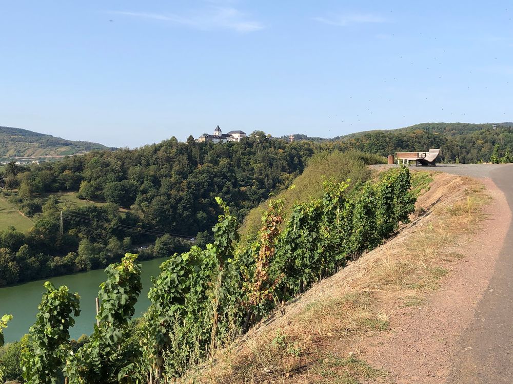 "Pissamann" Weinlehrpfad Zell Merl e7b45y