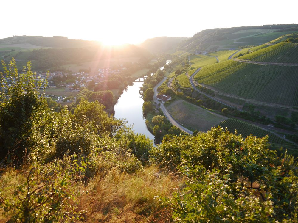 Vitaltour Geheimnisvoller Lemberg csqvim