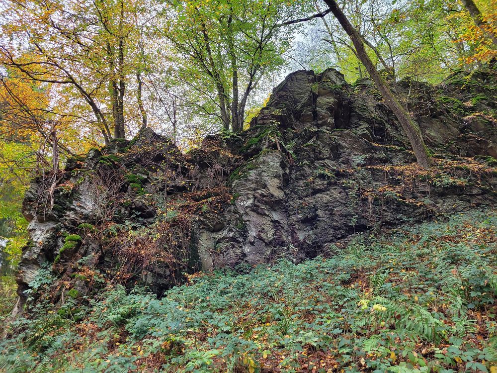 Hoch Ley am Wanderweg Schessels Beersche e73hd6