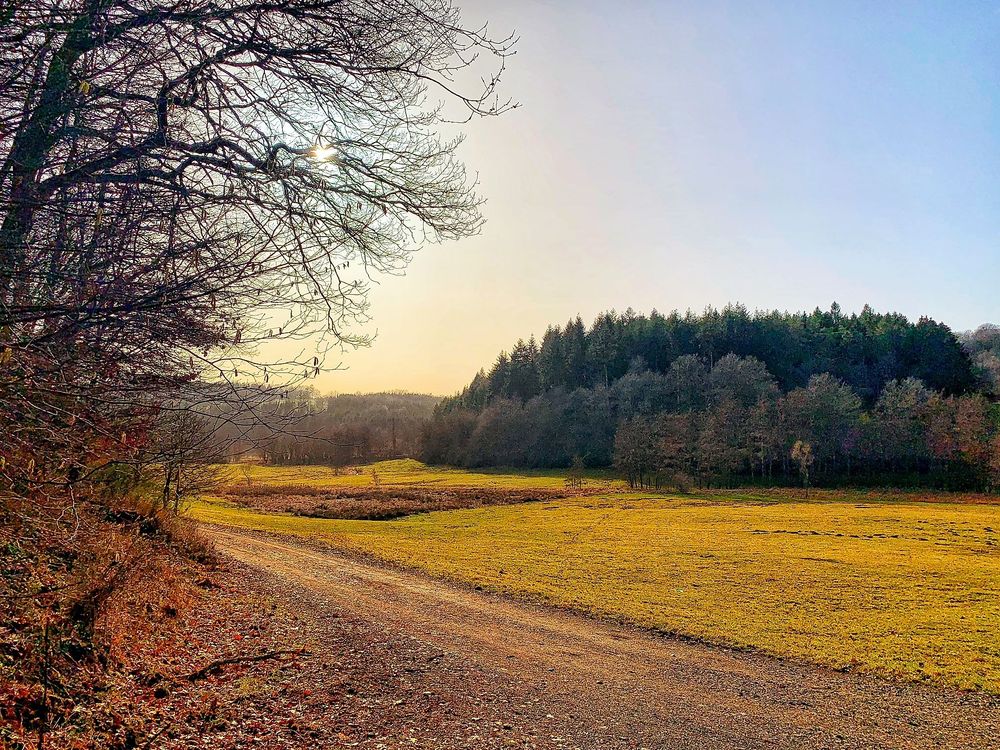 Rundwanderweg Hildebrechts Heimat e63q2i