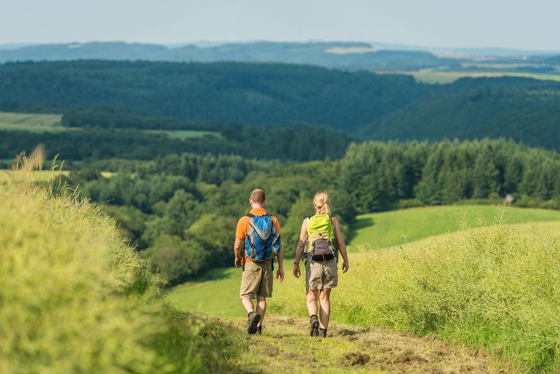 Saar Hunsrück Steig   19