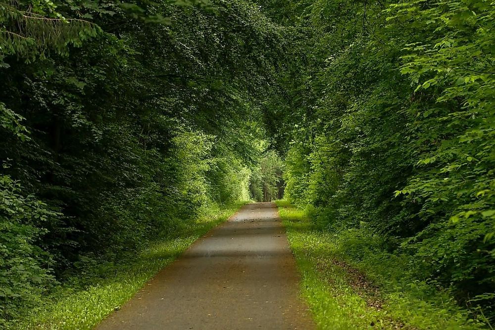 Schinderhannesradweg crf6ih