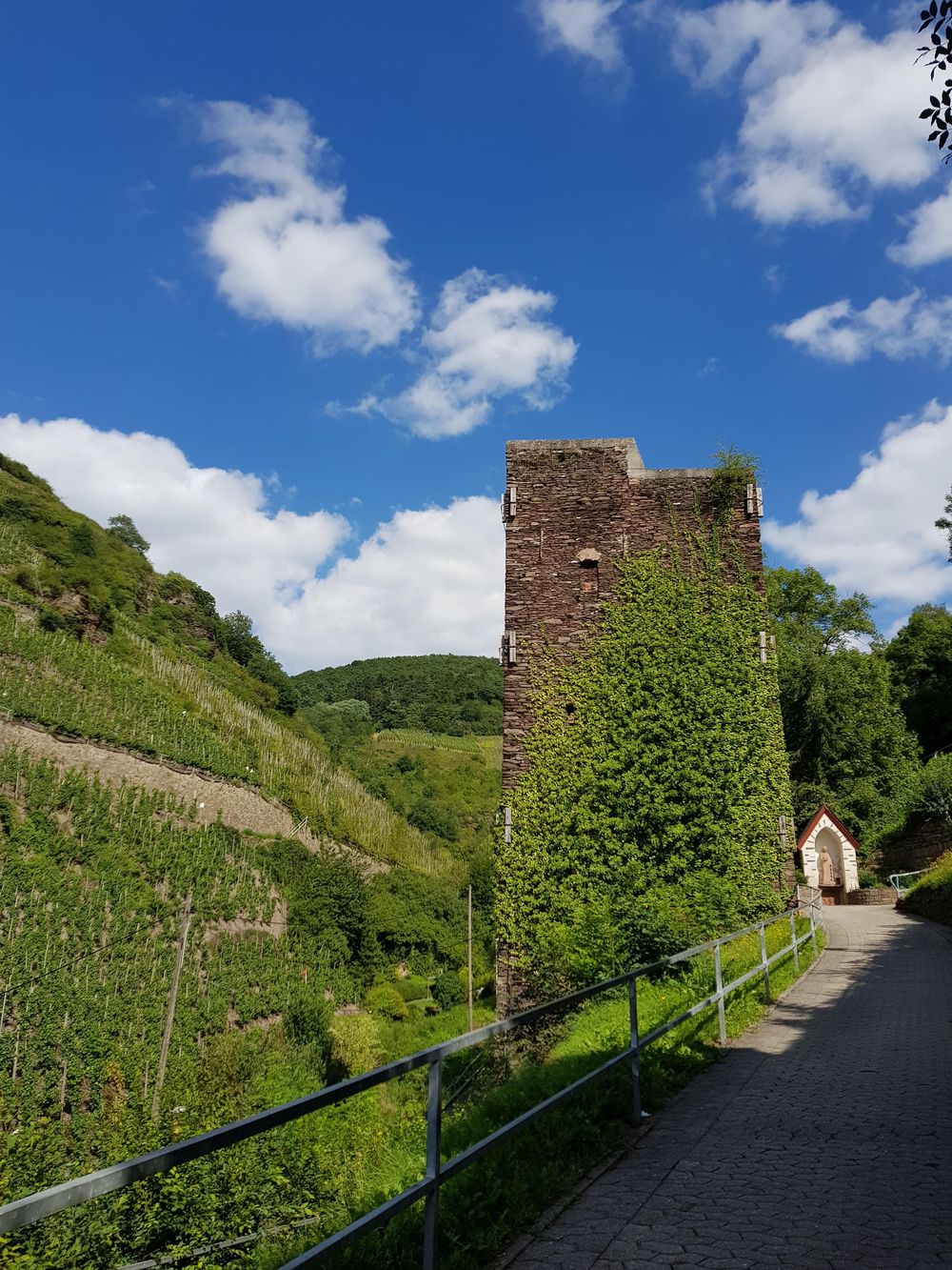 "Zeller Schwarze Katz" Themenwanderweg e2wrht