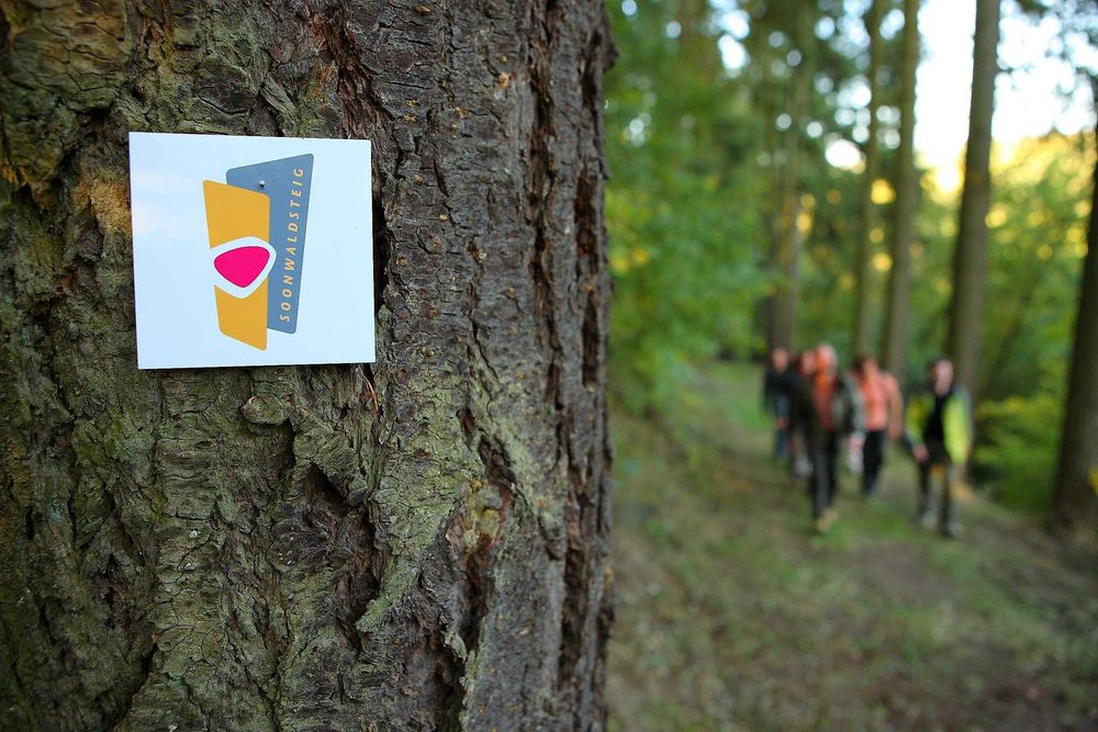 D Trekkingcamp Ochsenbaumer Höhe am Soonwaldsteig cpw1aw