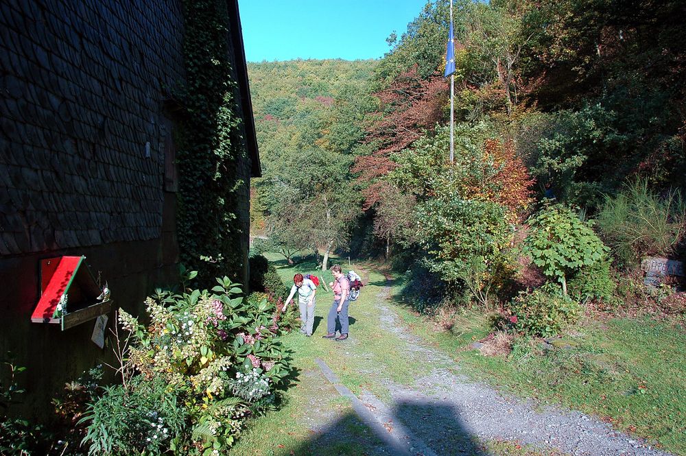 Traumschleifen Quartett im Baybachtal ckvchv