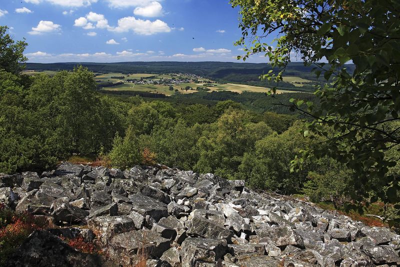 pois/nationalpark-hunsrueck-hochwald-edd8
