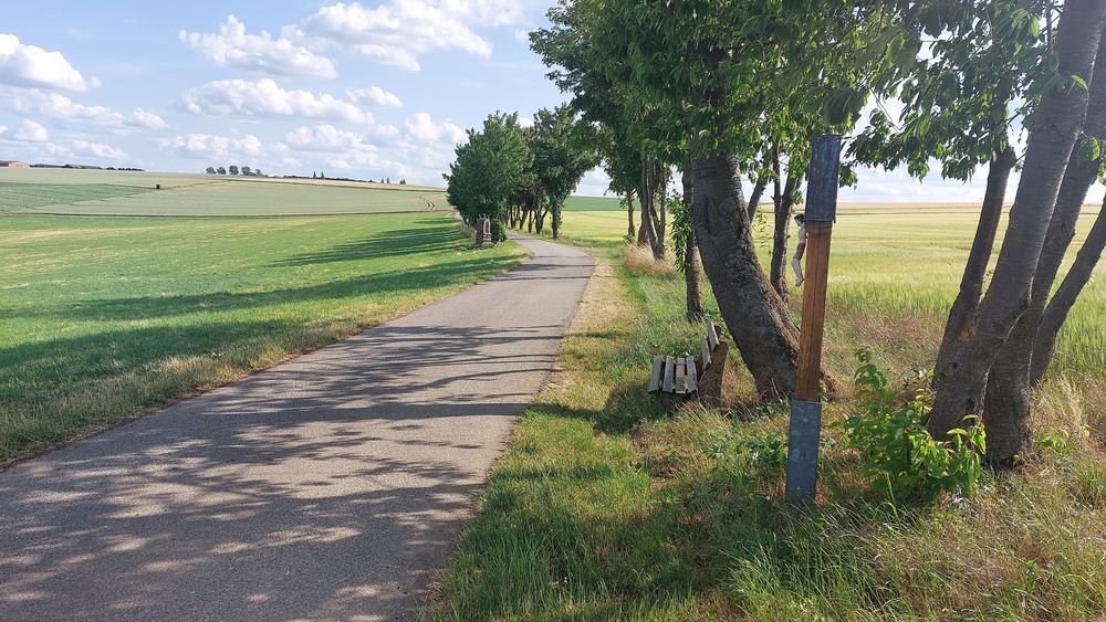 Pfalzfeld   Hängeseilbrücke Geierlay ckc1la