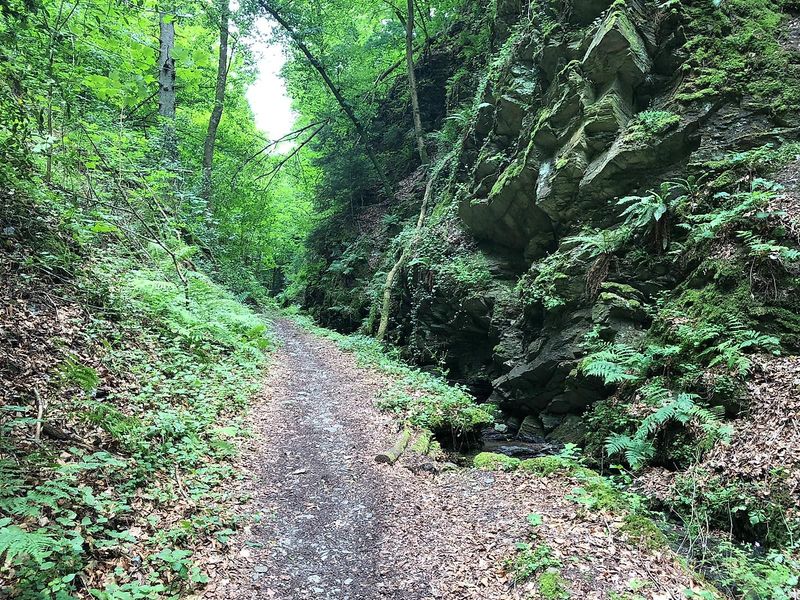 Liebesschlucht Rundwanderweg Zell (Mosel) ck2ypc