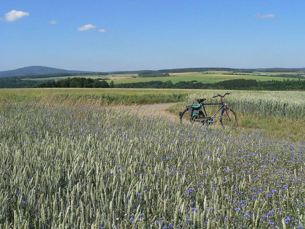 Lützelsoon Radweg cj0dc5