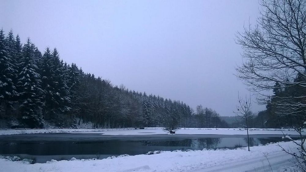 Angeln in Schillingen cdvsyg