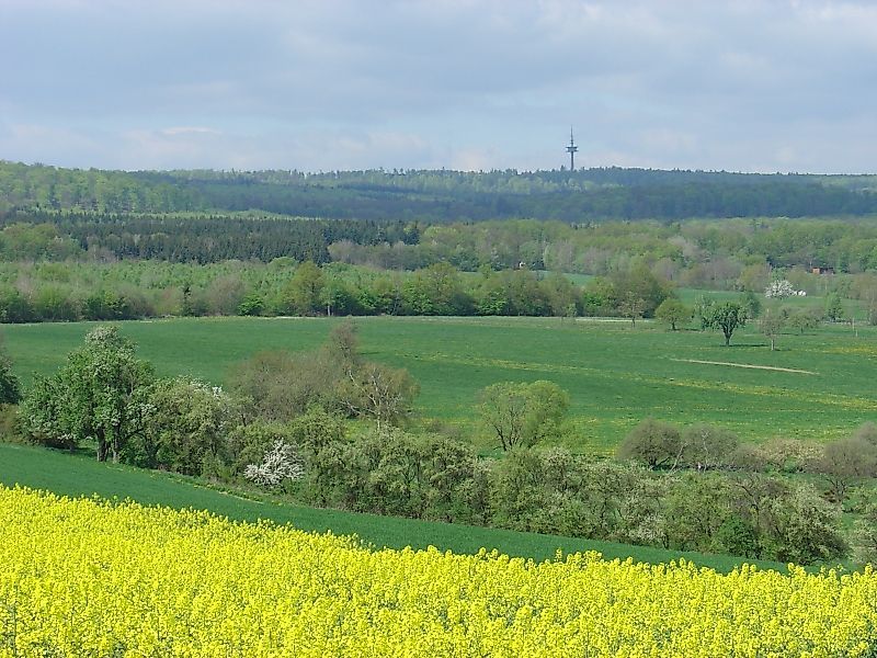 Soonwaldsteig   Etappe 4: Ellerspring Rheinböllen cdpva9