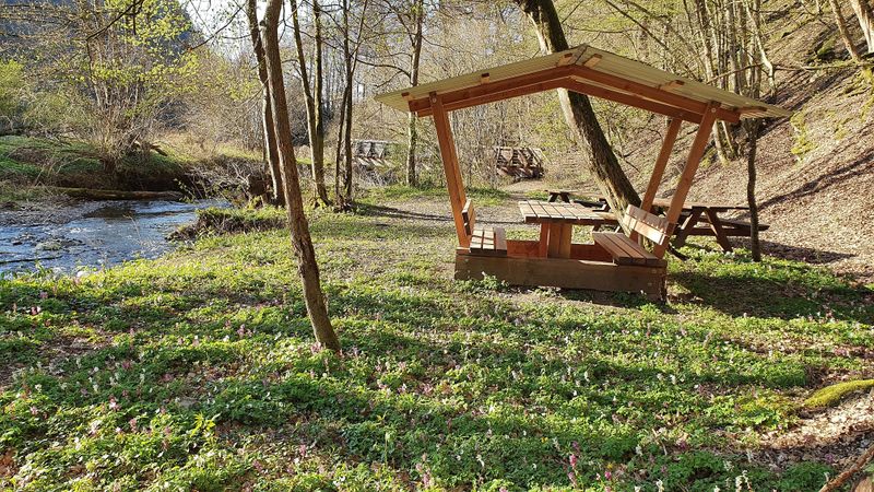 Traumschleifen Quartett im Baybachtal ccsp0r